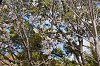 hana31 (141)_thumb.png